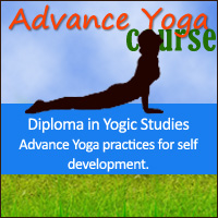 Yoga Vidya Gurukul, India: Advance Yoga Course