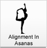 Yoga Vidya Gurukul, India: Alignment In Asanas