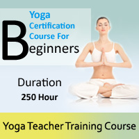Yoga Vidya Gurukul, India: Yoga Teacher Training Course