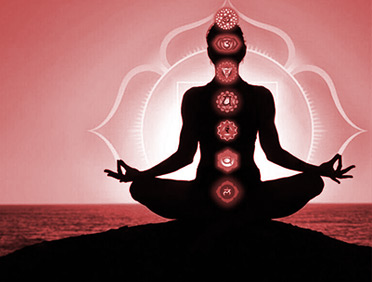 Yoga Point - Yoga Poses, Pranayama, Meditation, Lifestyle, yoga therapy