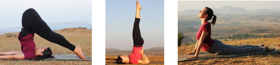 How many Yoga Asanas are there? - Quora